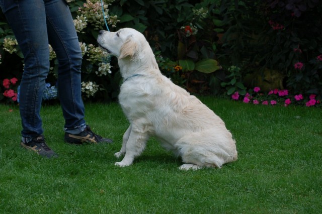 Lola